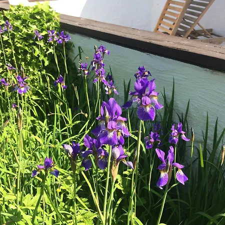 度假居 Gemuetliches Haeuschen An Der Westkueste Ruegens