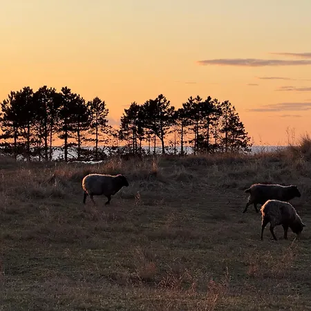 Gemuetliches Haeuschen An Der Westkueste Ruegens *