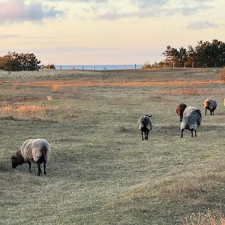 Gemuetliches Haeuschen An Der Westkueste Ruegens