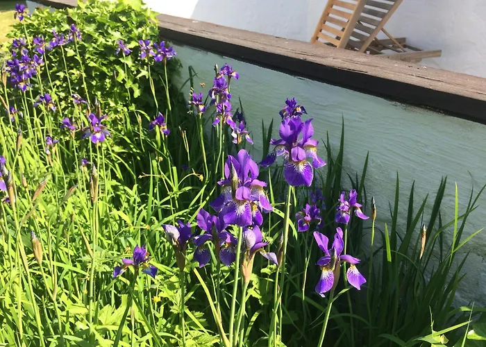 Сasa de vacaciones Gemütliches Häuschen An Der Westküste Rügens