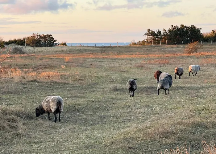 Gemütliches Häuschen An Der Westküste Rügens